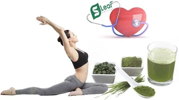Tảo xoắn spirulina là gì? Công dụng của tảo xoắn và cách phân biệt thật giả